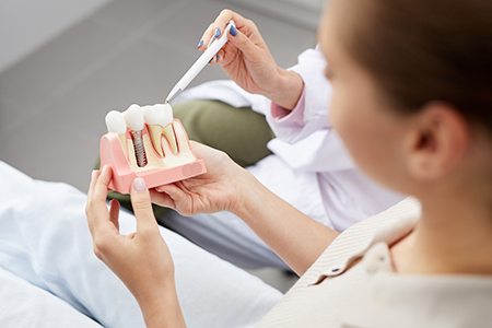 A person holding a model mouth with teeth inside while standing next to a dental professional.